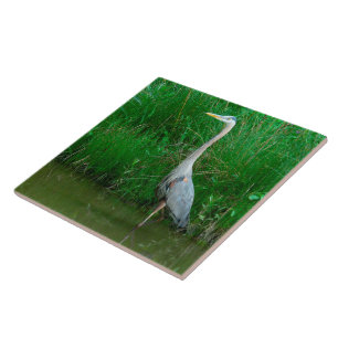 AZULEJO, "HERON AZUL PRENDENDO EM POND" (FOTO)
