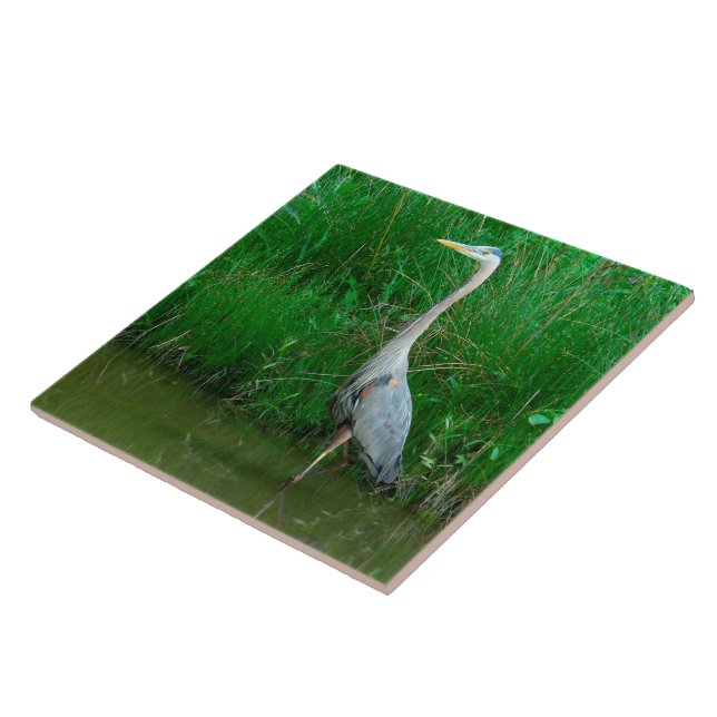 AZULEJO, "HERON AZUL PRENDENDO EM POND" (FOTO) (Lateral)