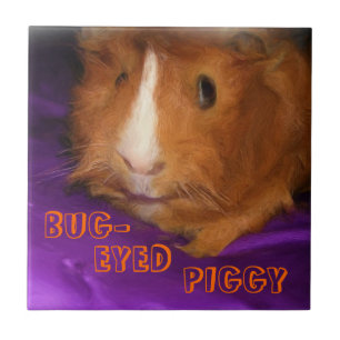 Azulejo inseto-OLHADO-PIGGY-Guiné-Suíno