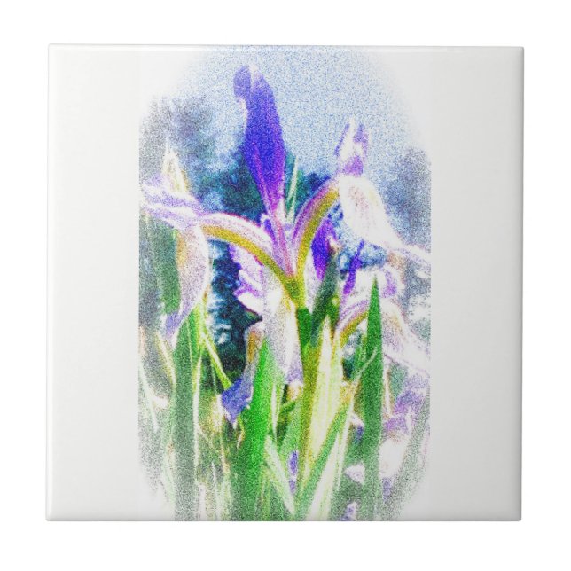 Azulejo Iris desbotado (Frente)