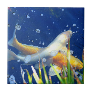 azulejo japonês da lagoa do koi