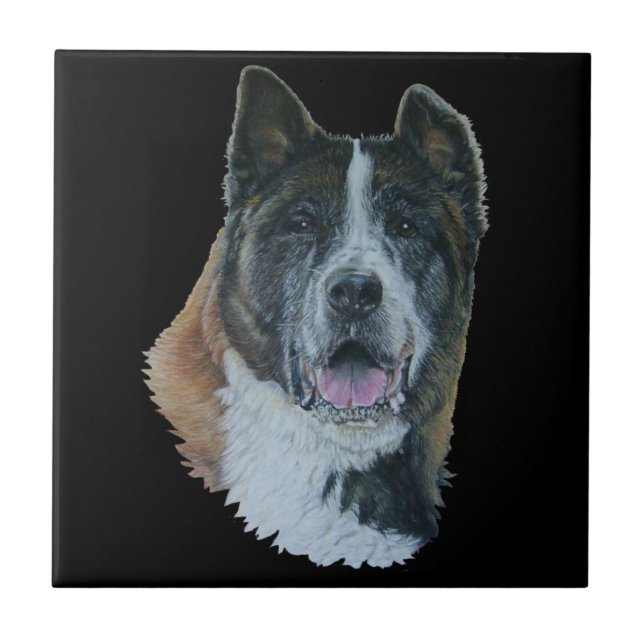 Azulejo japonês/do americano akita do cão do (Frente)