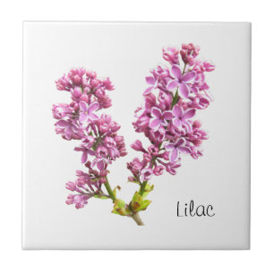 Azulejo - Lilac