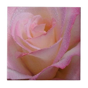 Azulejo Linda Rosa Rosa