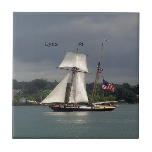 Azulejo Lynx (Frente)