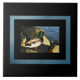 Azulejo Mallard Duck