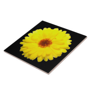 Azulejo Marigold Amarelo fluorescente