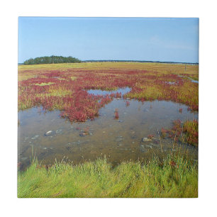 Azulejo Marsh Hammonasset