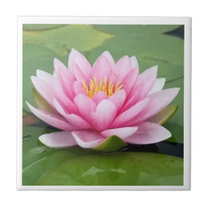 Azulejo Nacional de Flor de Bangladesh