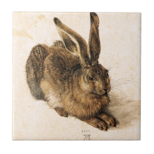 Azulejo novo da lebre de Albrecht Durer