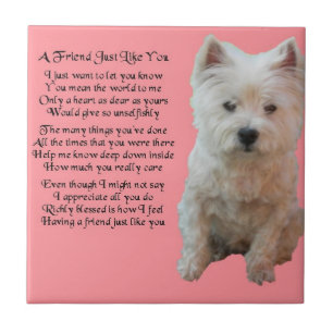 Azulejo ocidental do poema do amigo de Terrier das