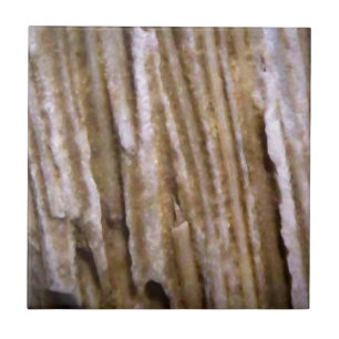 Azulejo ocidental rústico do desenhista da madeir