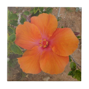 Azulejo Orange Hibiscus