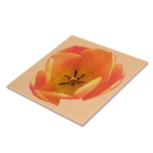 Azulejo Orange Tulip (Lateral)