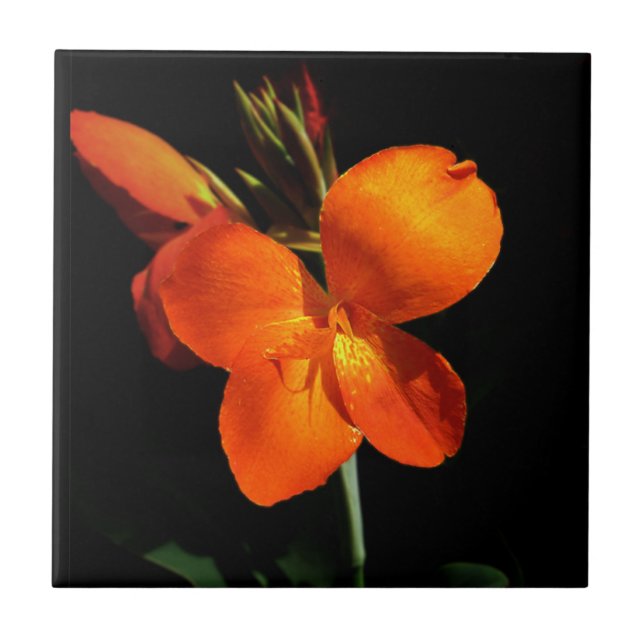 Azulejo Orquídeo Azzling (Frente)