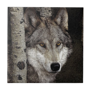 Azulejo ou Trivet da arte da tinta do lobo