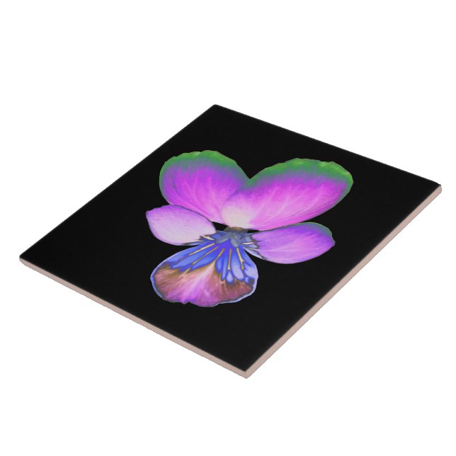 Azulejo Pansy bonito (Lateral)