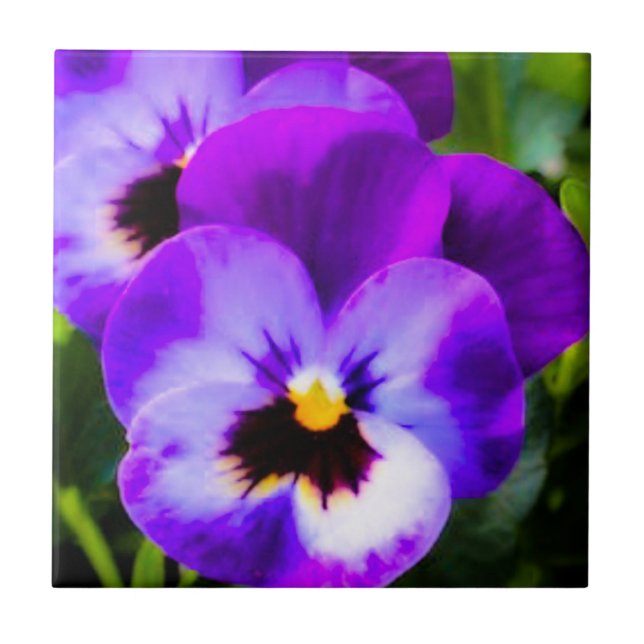 Azulejo Pansy Roxo (Frente)