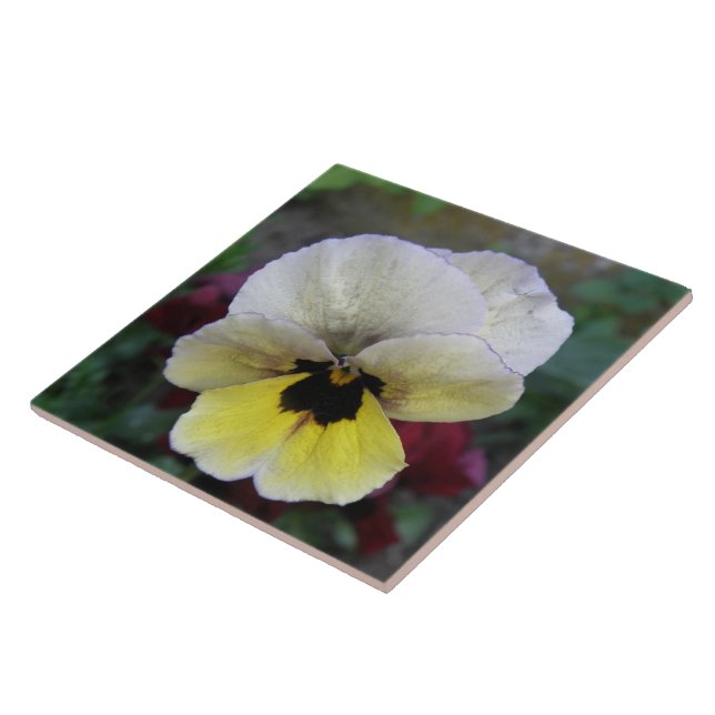 Azulejo Pansy White e Amarelo (Lateral)