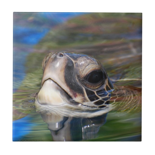 Azulejo - personalizado (Frente)