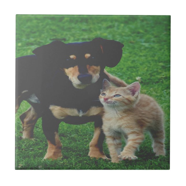 Azulejo personalizado Pet Photo Cerâmica (Frente)