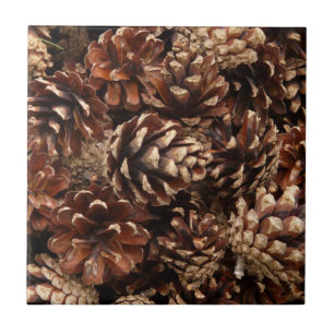 Azulejo Pine Cones