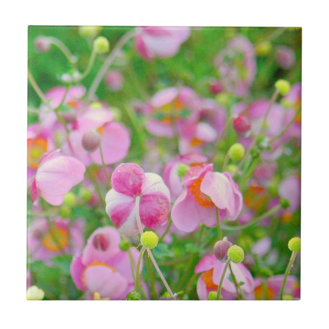 AZULEJO "PINK FLOWERS PARECE QUASE CANDY" (Frente)