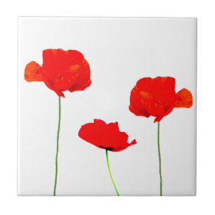 Azulejo POPPY Collection 05
