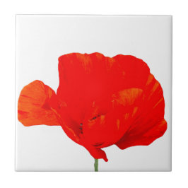 Azulejo POPPY Collection 06