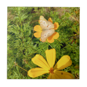 Azulejo Pouso da Borboleta 2p