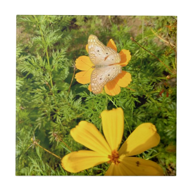 Azulejo Pouso da Borboleta 2p (Frente)