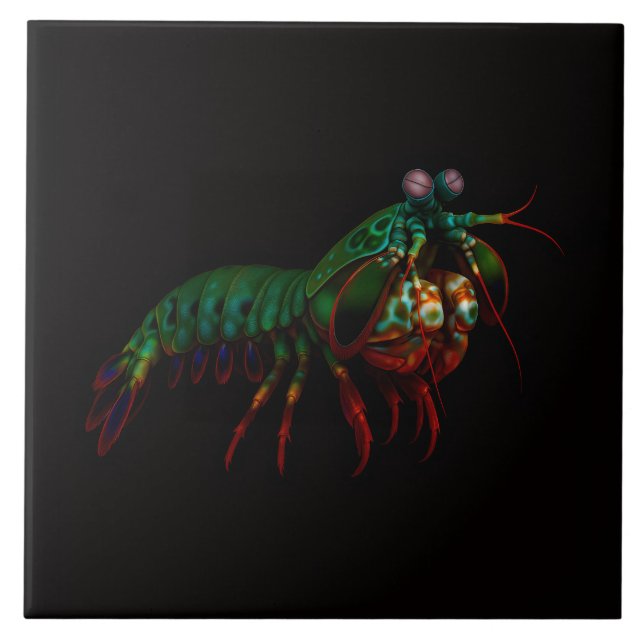 Azulejo Preto 4 Luxe com Camarão Mantis (Frente)