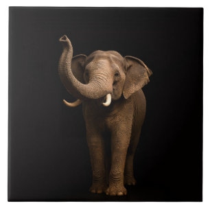 Azulejo Preto 4 Luxe com Elefante Poderoso