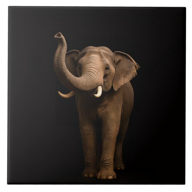 Azulejo Preto 4 Luxe com Elefante Poderoso (Frente)