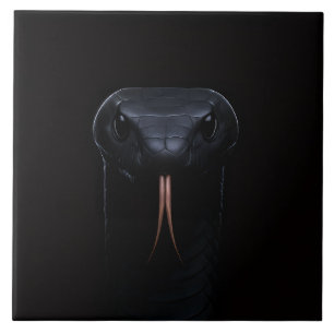 Azulejo preto 4 Luxe com Elegância Black Mamba