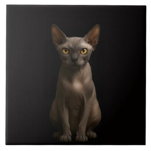 Azulejo Preto 4 Luxe com Gato Sphynx