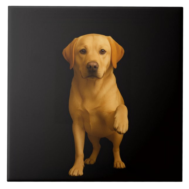 Azulejo Preto 4 Luxe com Labrador Terno (Frente)
