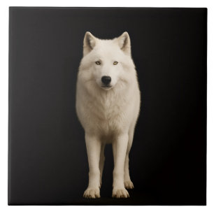 Azulejo Preto 4 Luxe com Lobo Ártico Marfim