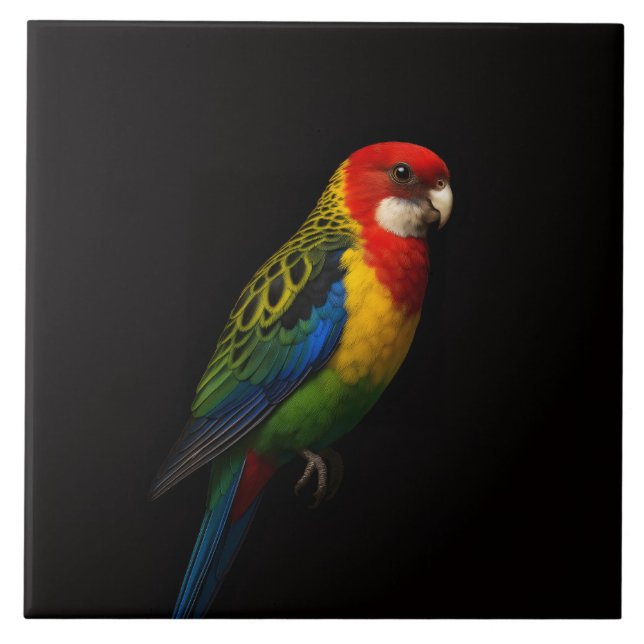 Azulejo Preto 4 Luxe com Papagaio Rosella Oriental (Frente)