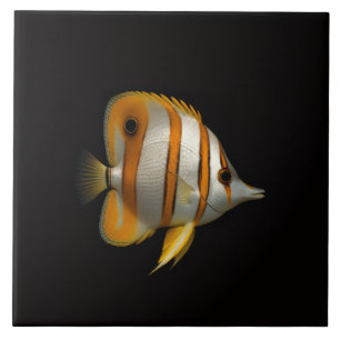 Azulejo Preto 4 Luxe com Peixe-Butterfly do Recife