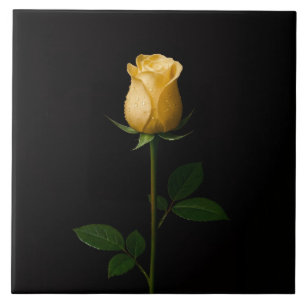 Azulejo Preto 4 Luxe com Rosa Amarela Iluminada pe