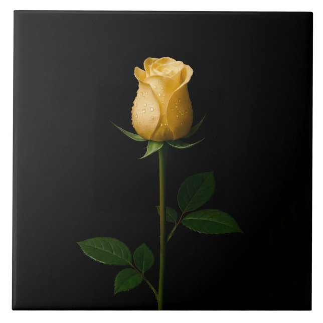 Azulejo Preto 4 Luxe com Rosa Amarela Iluminada pe (Frente)