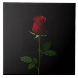 Azulejo Preto 4 Luxe com Rosa Vermelha de Veludo