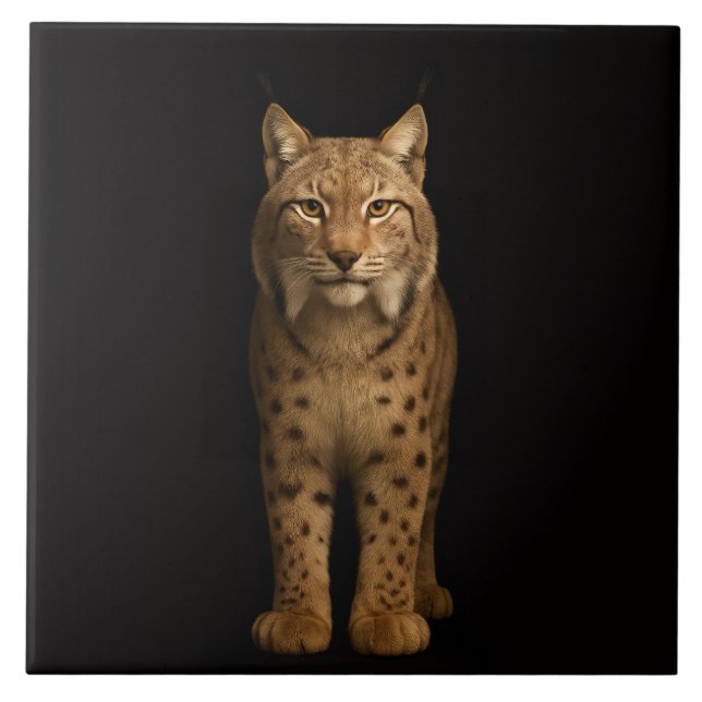 Azulejo Preto 4 Luxe com Silent Lynx (Frente)