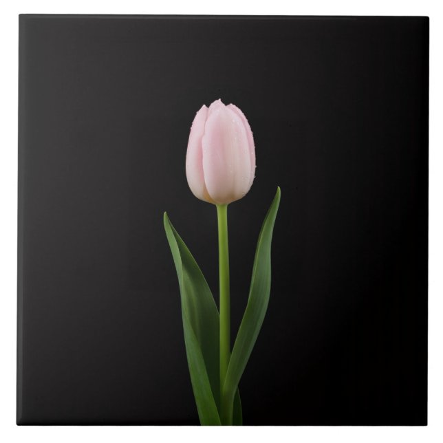 Azulejo Preto 4 Luxe com Tulipa Rosa Bege (Frente)