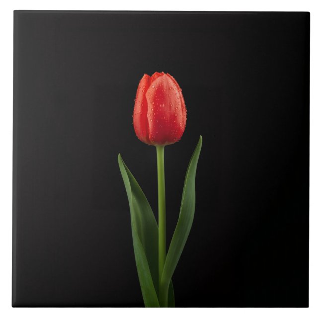 Azulejo Preto 4 Luxe com Tulipa Vermelha Rubi (Frente)