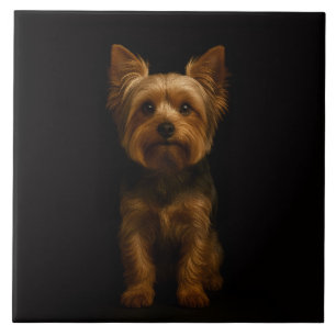 Azulejo Preto 4 Luxe com Yorkshire Terrier
