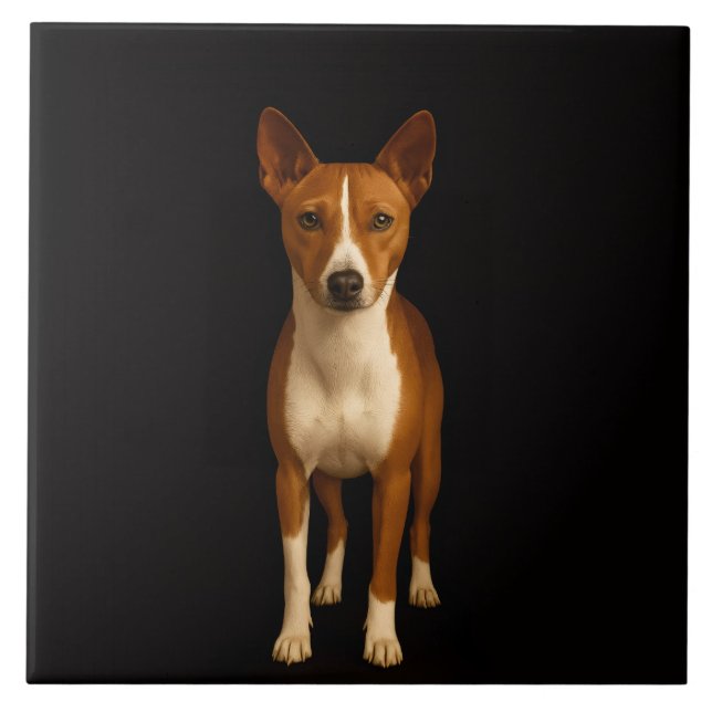 Azulejo Preto 4 Luxo com Cachorro Basenji Elegante (Frente)