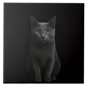 Azulejo Preto 4 Luxo com Gato Azul Russo