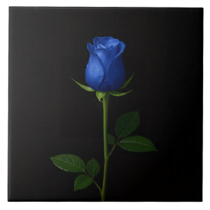 Azulejo Preto 4 Luxo com Rosa Azul Meia-Noite